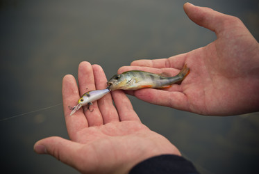 Similar image 750380