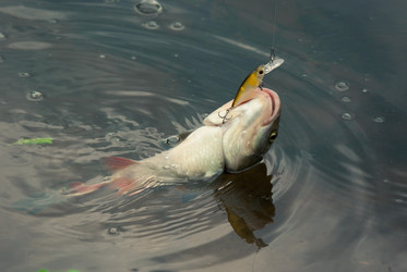 Similar image 750381