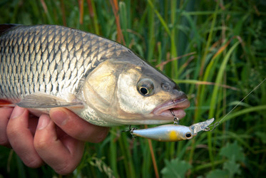 Similar image 750382