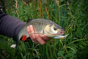 Similar image 750383