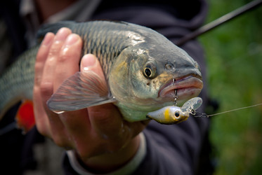 Similar image 750384