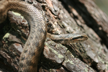 Similar image 750393