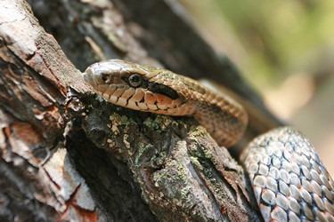 Similar image 750394