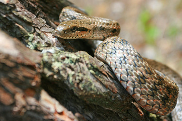 Similar image 750395