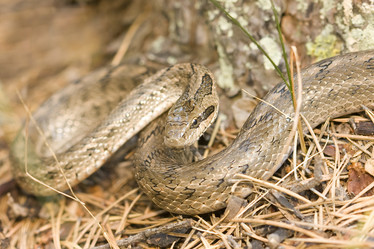 Similar image 750399