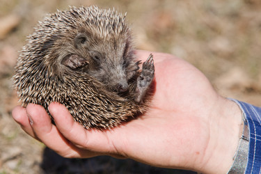 Similar image 750402