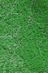 Similar image 750430