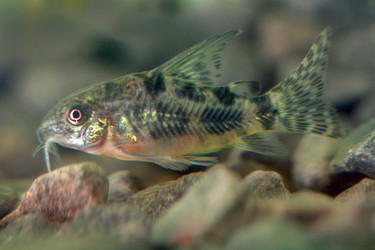 Similar image 750483