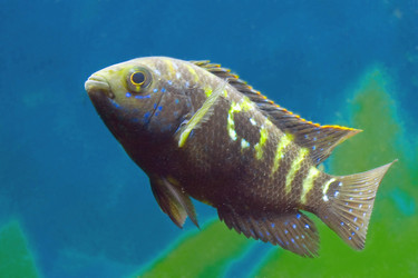 Similar image 750490