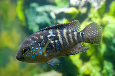 Similar image 750492