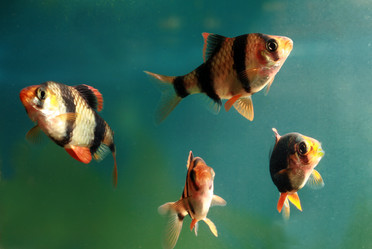 Similar image 750510