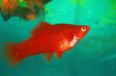 Similar image 750518