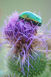 Similar image 750667