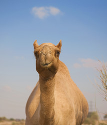 Similar image 750709