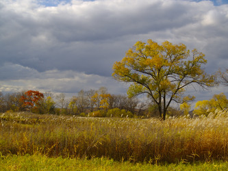 Similar image 750714