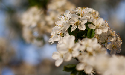 Similar image 750716