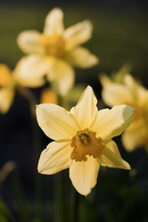 Similar image 750726