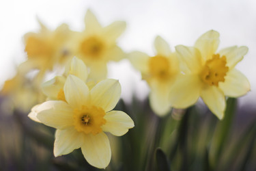 Similar image 750728