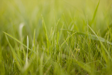 Similar image 750737