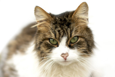 Similar image 750744