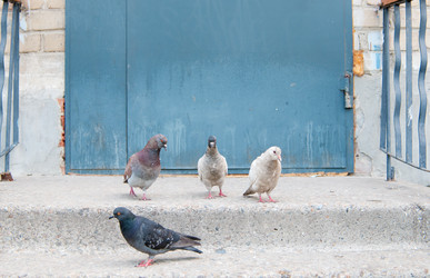 Similar image 750754