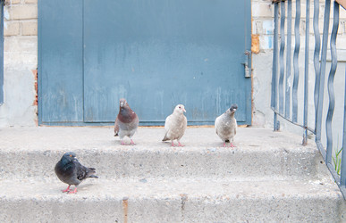 Similar image 750755