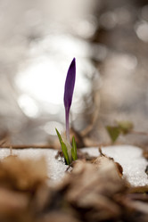 Similar image 750756