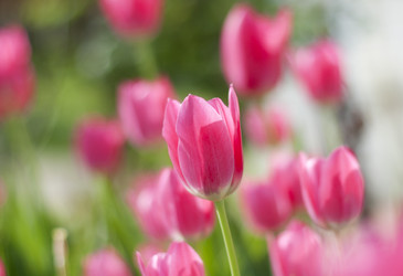 Similar image 750758