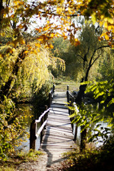 Similar image 750765