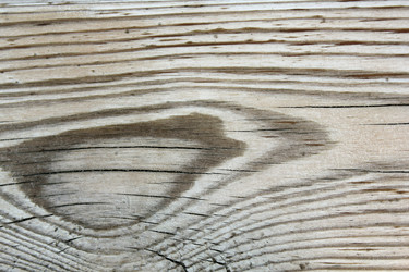 Similar image 750809