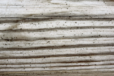 Similar image 750810