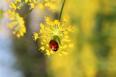 Similar image 750819