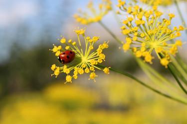 Similar image 750820