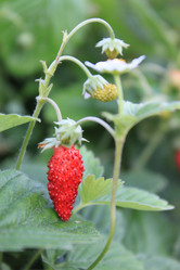 Similar image 750822