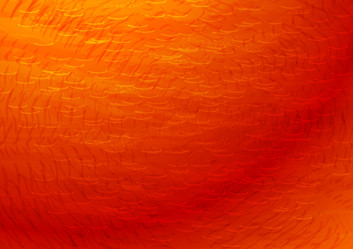 Similar image 750879