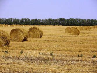 Similar image 750980