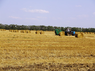 Similar image 750986