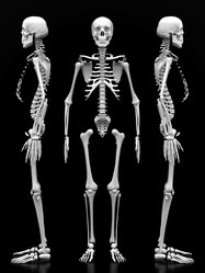 Similar image 751036