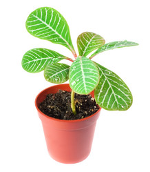 Similar image 751079