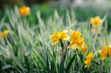 Similar image 751131