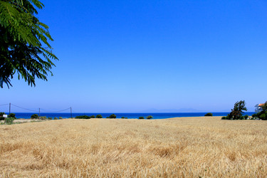 Similar image 751132