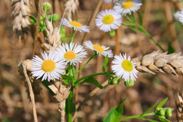 Similar image 751153