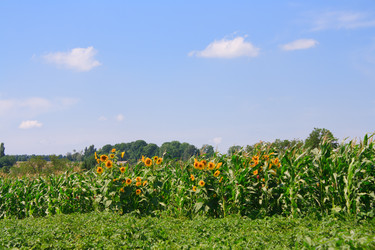 Similar image 751173