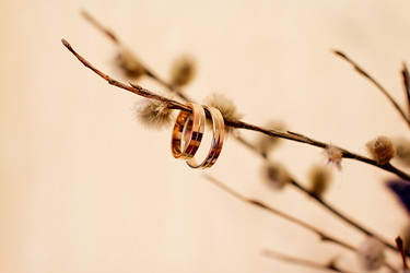 Similar image 751182