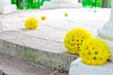 Similar image 751200