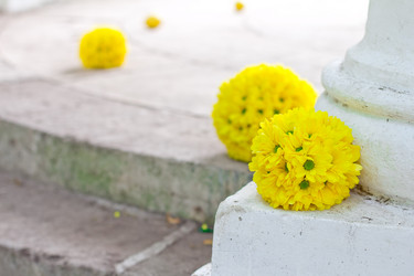 Similar image 751205