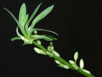 Similar image 751329