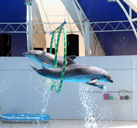 Similar image 751336