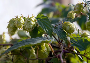 Similar image 751341