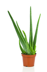 Similar image 751405